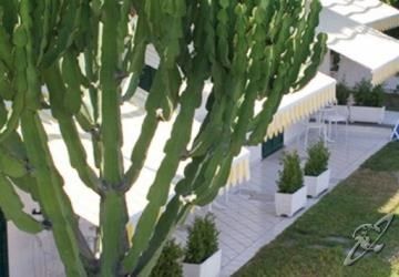 Bellevue Benessere&relax 4* Ischia